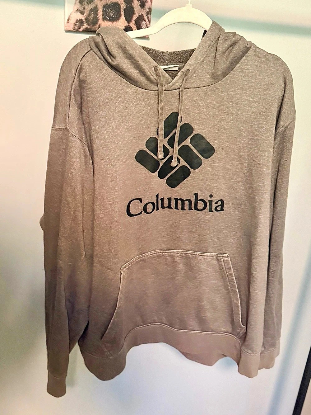 Columbia Logo Graphic Pullover Hoodie Brown